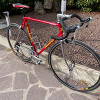 Bici muscolare Daccordi
