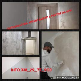 Pittore edile s.e.r.i.o