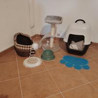 Accessori per gatto 