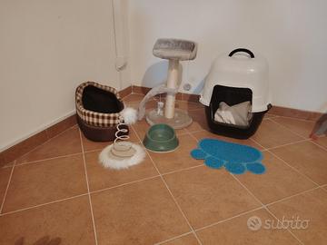 Accessori per gatto 