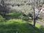 Immagine 13