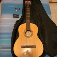 Chitarra Giannini gwnx 17