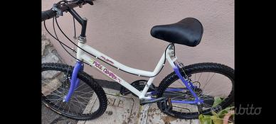 Bicicletta