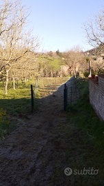 Terreno castel madama