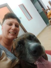 Ciao sono Erika D'Angelo