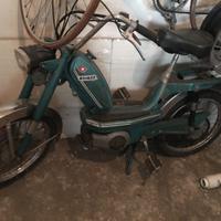 Cimatti basket 50 1979