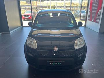 FIAT - Panda - 1.0 FireFly S&S Hybrid City Life