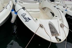 Quicksilver commander 505
