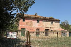 RUSTICO A CARTOCETO