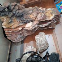 acquario/tartarughiera
