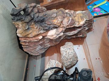 acquario/tartarughiera