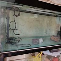 acquario