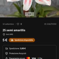 2 bulbi del tipo della foto 