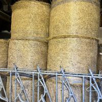 Rotoballe 3,5 q.li fieno primo taglio