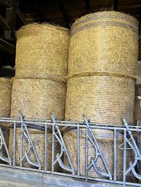 Rotoballe 3,5 q.li fieno primo taglio