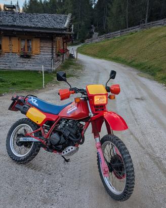 HONDA XL 350 R "ND03" del 1986