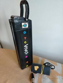 bicicletta elettrica 