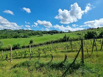 Terreno di 21090 m² a Montespertoli