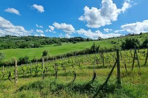 Terreno di 21090 m² a Montespertoli