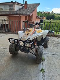 polaris traill boss 250