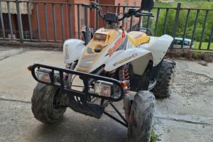polaris traill boss 250