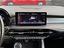 Immagine 15