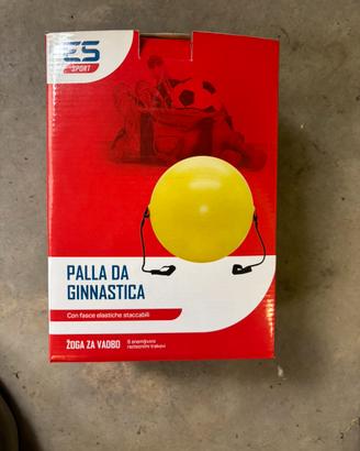 Palla da ginnastica con elastici