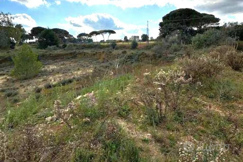 Immobile in asta di 1652 m² a Cavallino - Vista 5