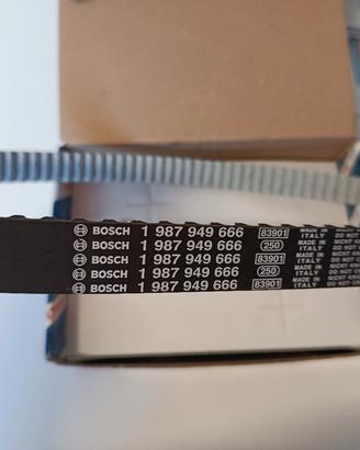 Cinghia Distribuzione auto