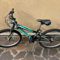 Bicicletta da ragazzo