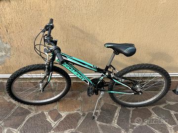 Bicicletta da ragazzo