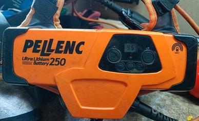 Forbici da potatura Pellenc prugnon 250