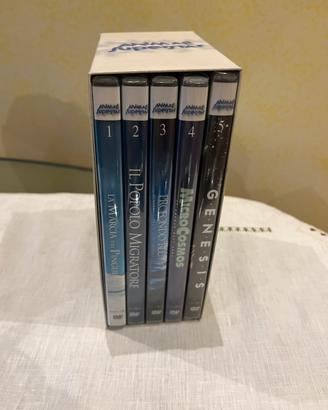 Cofanetto 5 DVD