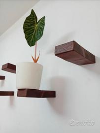 Mensole a scomparsa flottanti in legno massello.