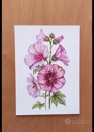 Stampa Fine Art Malva