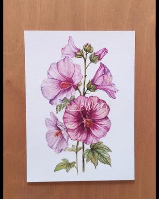 Stampa Fine Art Malva