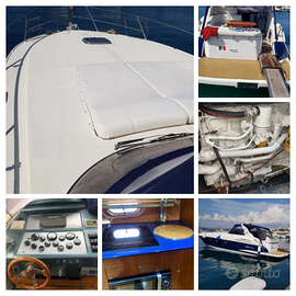 C&B Prestige DHEA 40 Open-CAT 350X2