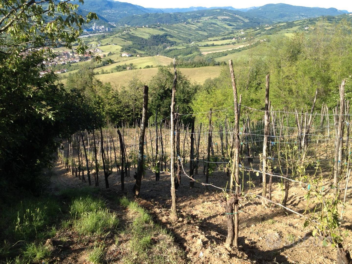 Rustico con terreni - Vista 3