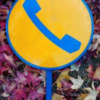 Insegna Telefonica SIP anni 70 Bifacciale 