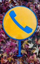 Insegna Telefonica SIP anni 70 Bifacciale 
