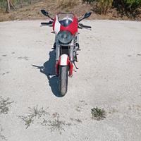 Ducati monster 1000 SI. I.E anno 2003