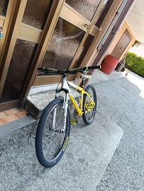 Giant Iguana anno 2003-2004 MTB