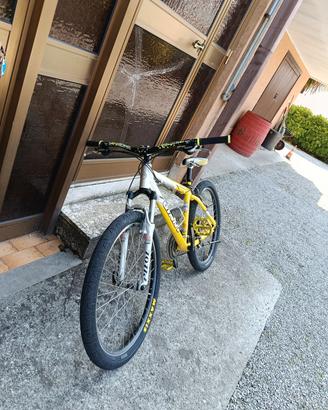 Giant Iguana anno 2003-2004 MTB