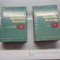 Libri dizionario illustrato  1964