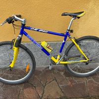 Mountain bike