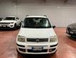 Fiat Panda 1.2 Alessi