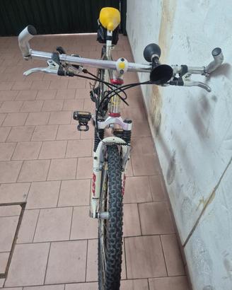 bicicletta mountain bike