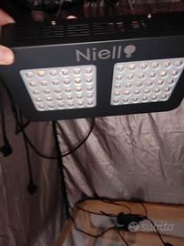 Grow Box più lampade