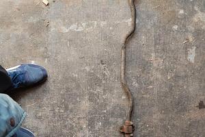 Barra stabilizzatrice anteriore Delta integrale