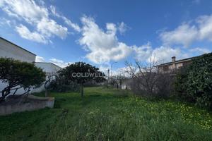 Terreno Edificabile - Soleto